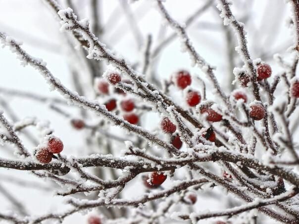 Meteorolozi najavili: Noćas će zeko tražiti svoju majku