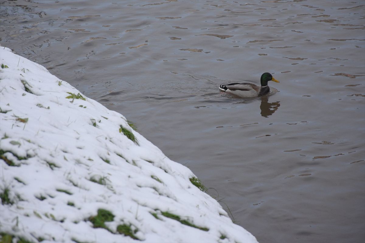 function r(){if(it(n),n.value===Hm){let o=null;throw new D(-950,o)}return n.value}