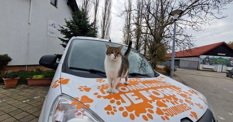 Molimo vas da prije paljenja vozila, kucnete po poklopcu motora (haubi) i zatrubite, savjetuju volonteri