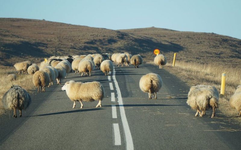 Policijska uprava šibensko-kninska javlja da se nesreća dogodila u mjestu Pađane