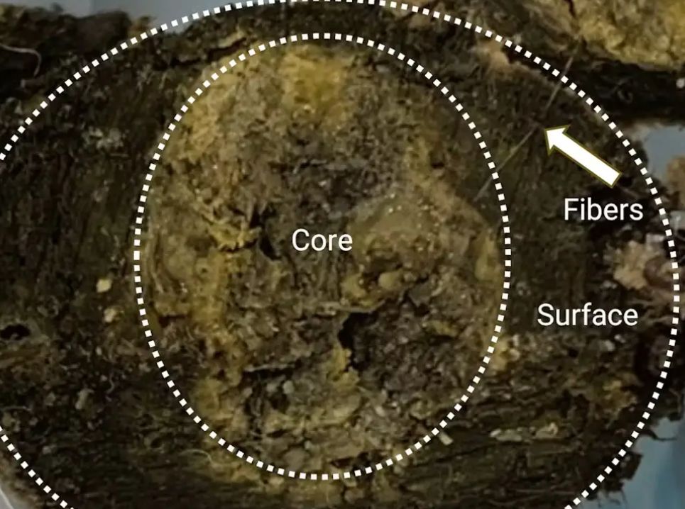 function r(){if(it(n),n.value===Hm){let o=null;throw new D(-950,o)}return n.value}