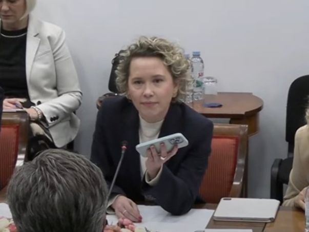 Ja kad imam vremena, rješavam križaljku, a vi se bavite skečevima, rekao je Plenković