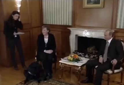 Napomenula je da se incident dogodio uprkos izričitim zahtjevima njemačkog diplomatskog osoblja da se psa drži podalje