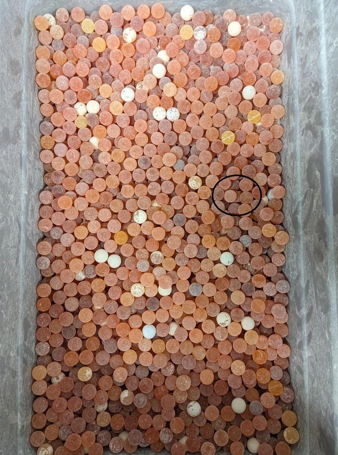 function r(){if(it(n),n.value===jm){let o=null;throw new D(-950,o)}return n.value}