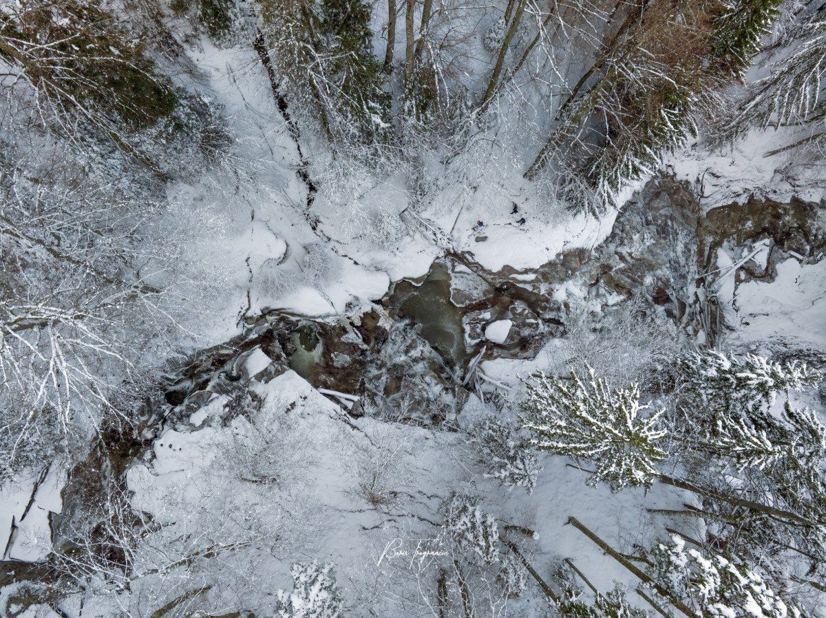 function r(){if(it(n),n.value===Hm){let o=null;throw new D(-950,o)}return n.value}