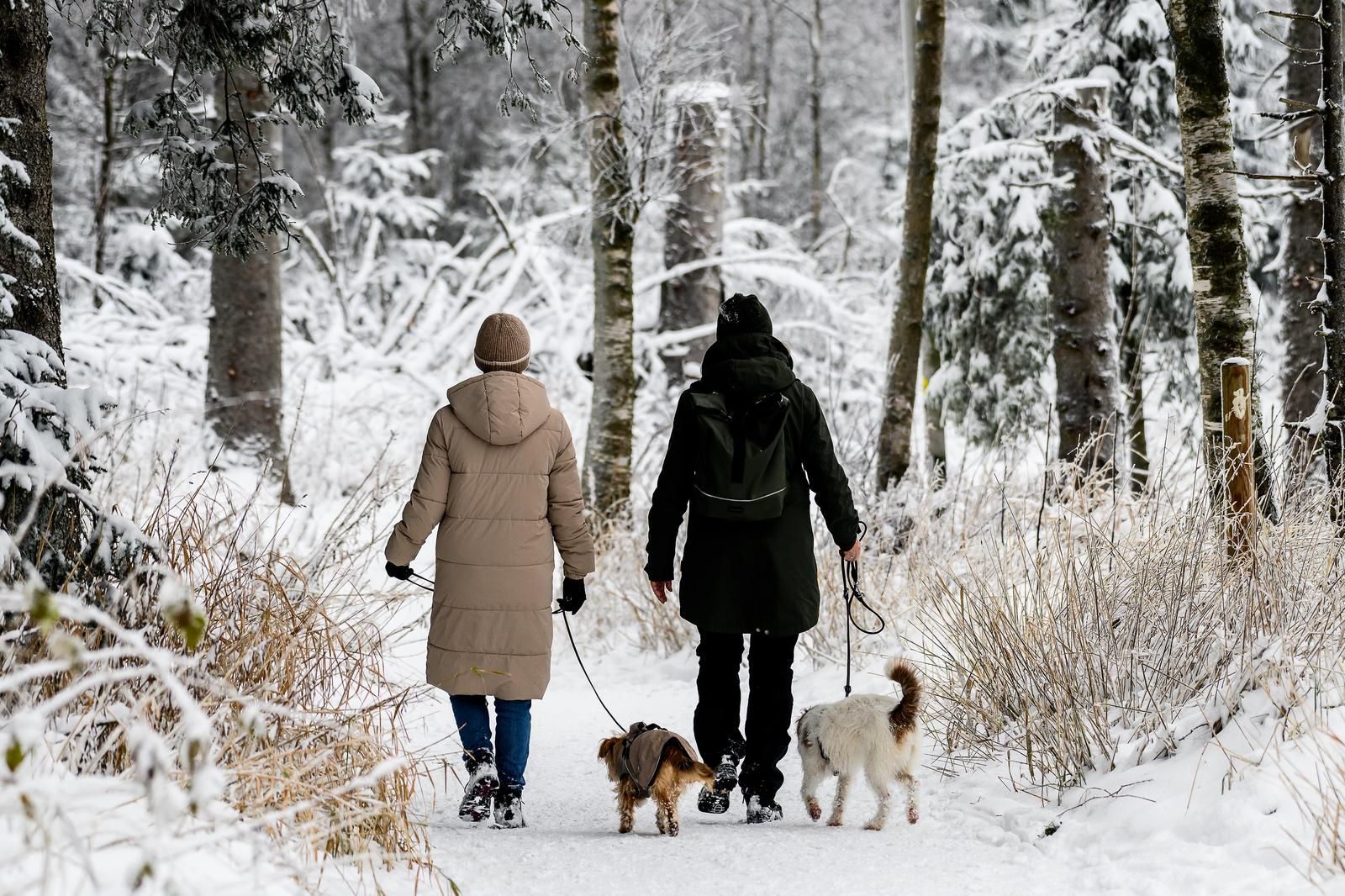 function r(){if(it(n),n.value===jm){let o=null;throw new D(-950,o)}return n.value}