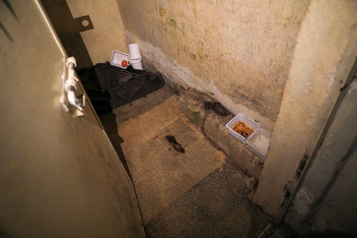 U različitim zgradama, u kojima su se nalazili i službeni uredi, otkrivene su prostorije u kojima su ispitivani i mučeni neistomišljenici režima.