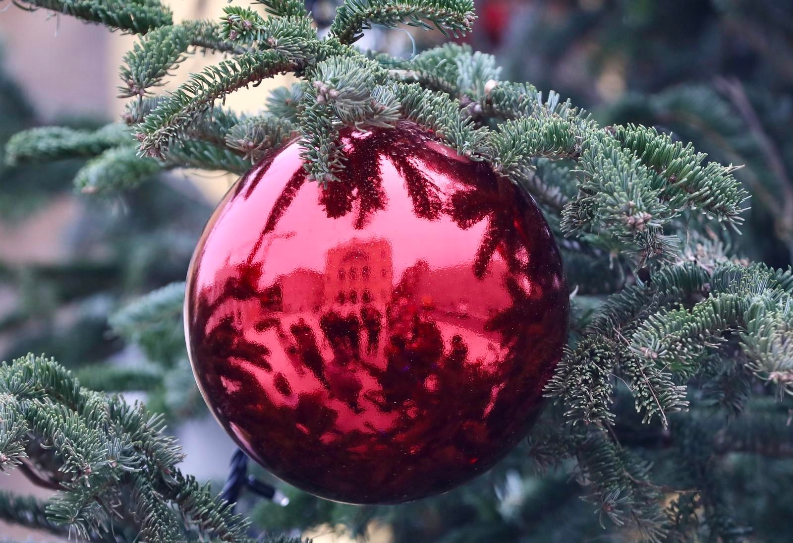 U Katedrali Srca Isusova u Sarajevu, održana je sveta misa Božićnog bdijenja koju je predvodio vrhbosanski nadbiskup metropolita Tomo Vukšić