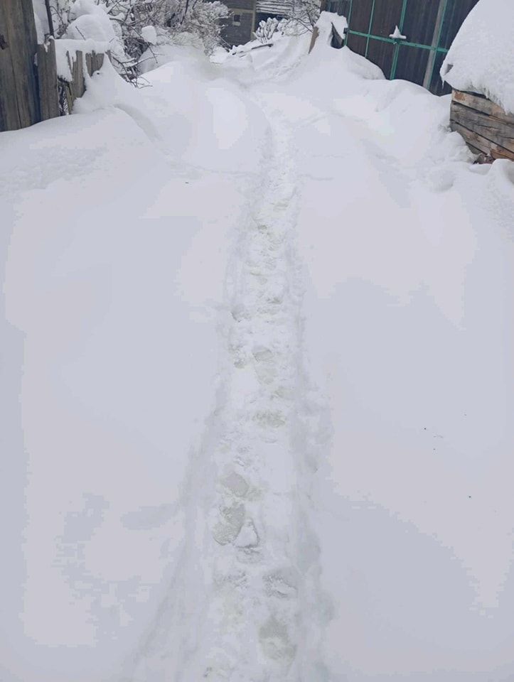 Načelnik Kaknja za Hayat.ba: Većina Brnjica je očišćena od snijega, riješit ćemo i ostatak!