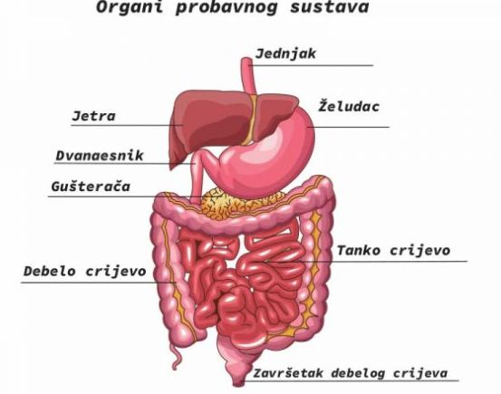 Kako na vrijeme spriječiti komplikacije bolesti crijeva?