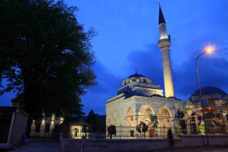Knjiga donosi bogat prikaz historijskog, duhovnog i arhitektonskog značaja Ferhadije