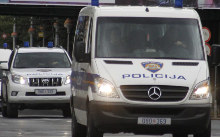 Postupak je vođen putem krivičnog naloga, što je skraćeni proces za lakša kaznena djela, poput krađe manje vrijednosti.