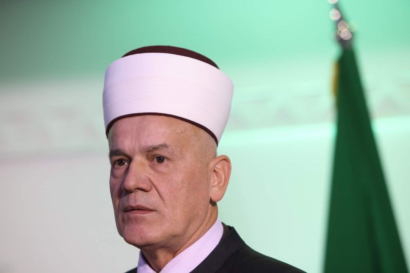 Knjiga donosi bogat prikaz historijskog, duhovnog i arhitektonskog značaja Ferhadije
