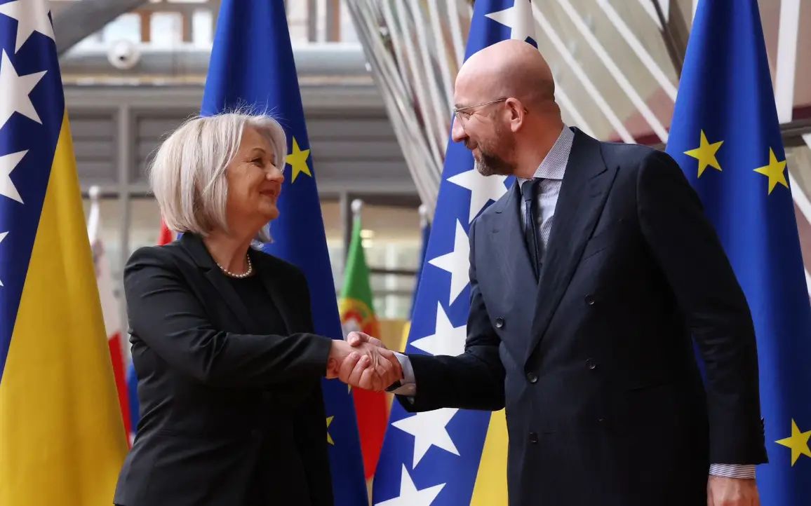 Iako su tokom 2024. godine ostvareni važni koraci prema evropskoj integraciji, Bosna i Hercegovina suočava se s ozbiljnim izazovima.