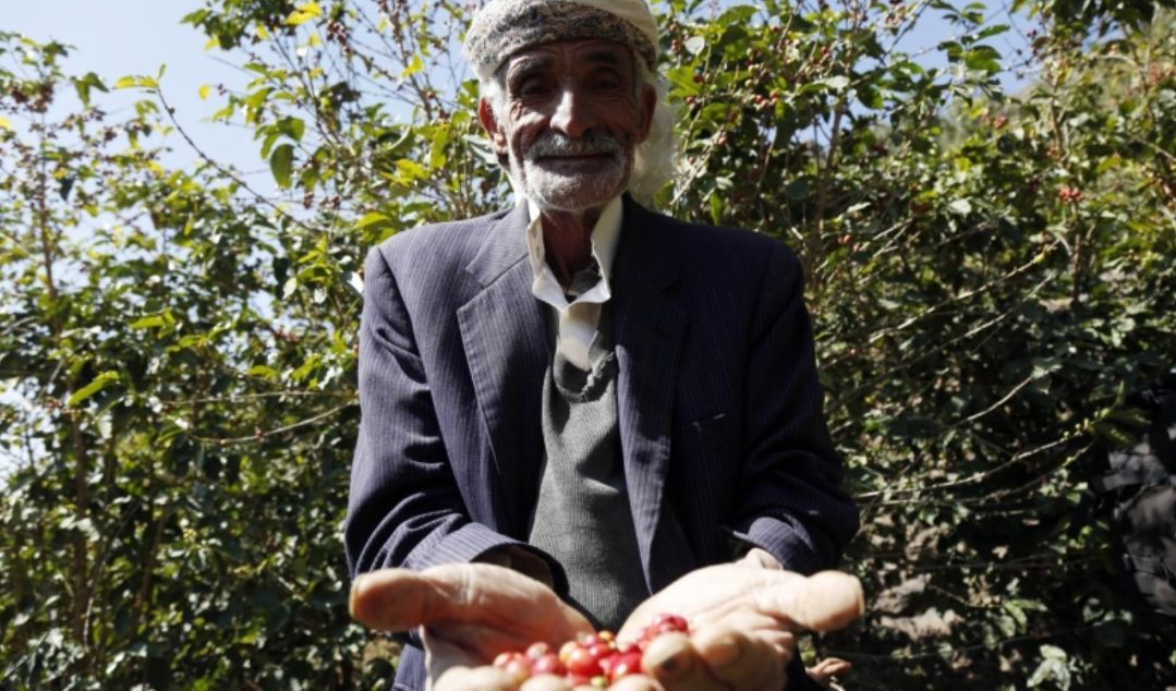 Porast koji će se, prema procjenama stručnjaka, kratkoročno nastaviti. Samo u novembru cijena je porasla za 31,6%