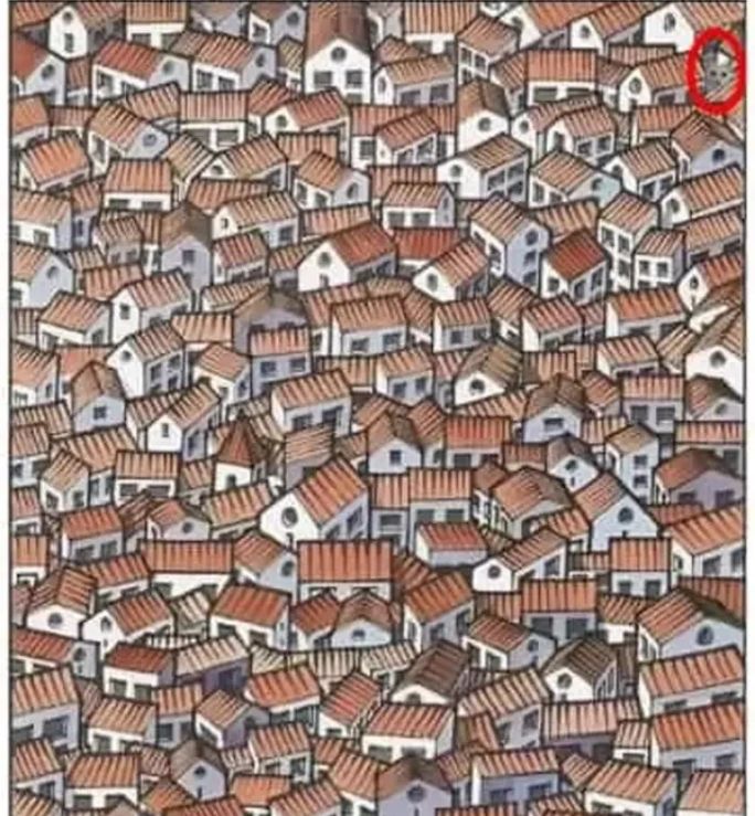 Testirajte svoj IQ: Možete li pronaći mačku za 10 sekundi?