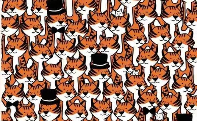 Mačke su gotovo neprimjetne jer se savršeno uklapaju u bijelu pozadinu slike i bijele trbove tigrova