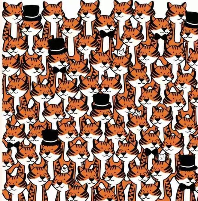 Mačke su gotovo neprimjetne jer se savršeno uklapaju u bijelu pozadinu slike i bijele trbove tigrova