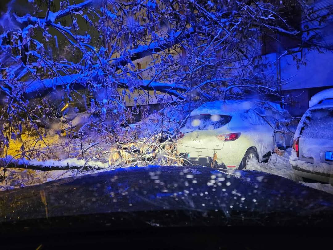 Brzom reakcijom u toku noći sa ceste prema Krčmaricama uklonjeno je preko 40 oborenih stabala i osposobljena cesta za promet.