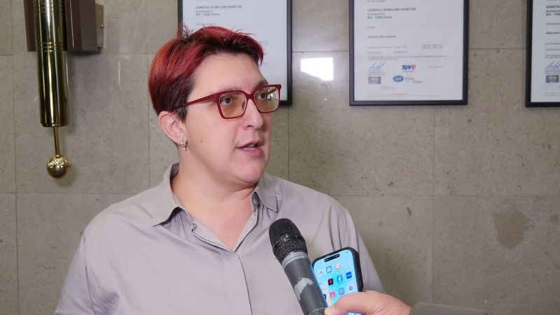 Imamo i određene stavke koje podrazumijevaju iskorak u odnosu na ono što nije postojalo ranije u budžetu, kazao je Pivić