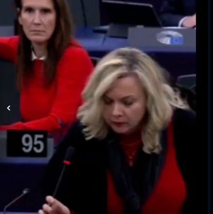 Ne stišavaju se reakcije nakon skandaloznih izjava Željane Zovko, zastupnice u Evropskom parlamentu koja je pozvala hrvatskog premijera Plenkovića da isporuči predsjedništvo BiH