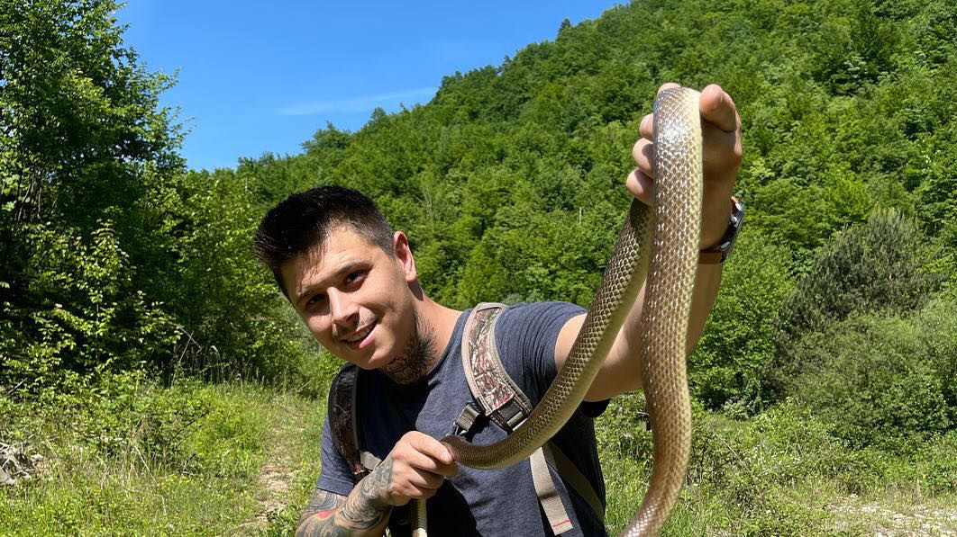 Podijelio je savjete kako postupiti u susretu sa ovim gmizavcima                                             