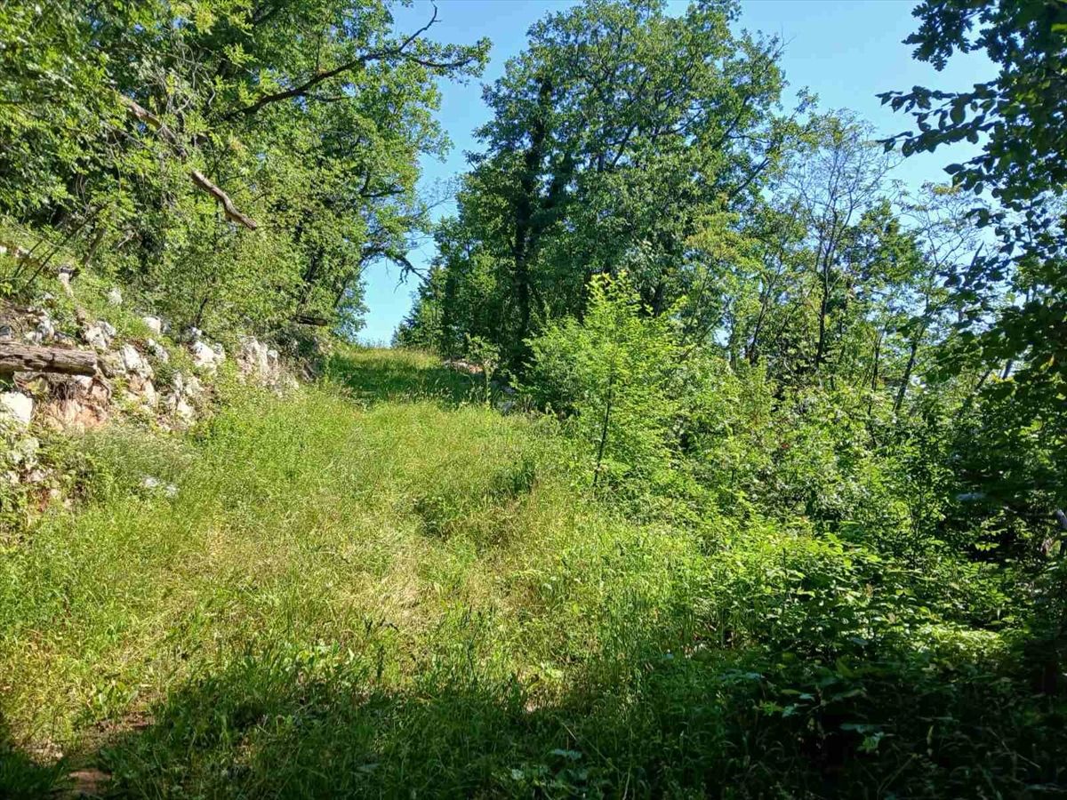 Za 'Marš mira' do sada prijavljeno oko 1.400 osoba: U koloni veliki broj mladih ljudi