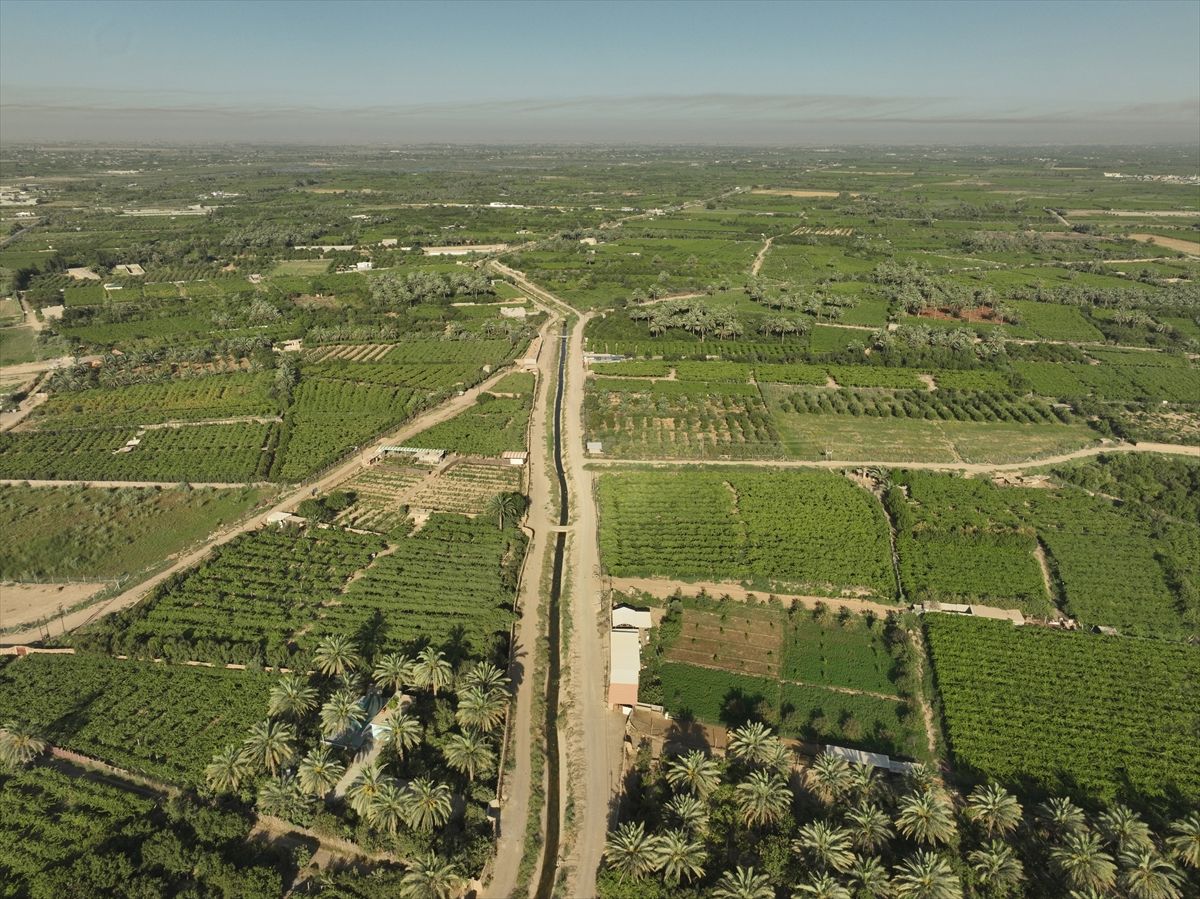 Grožđe je od davnina poznato voće koje obiluje vitaminima A, B i C te mineralima i hranjivim tvarima