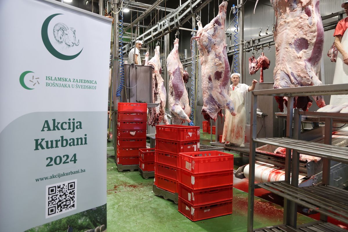 Akcija 'Kurbani 2024' uspješno se realizira na području Muftijstva travničkog