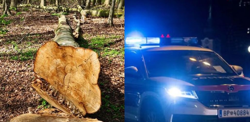 Mediji prenose da radnik ima povrede abdomena, grudi i lijevog ramena