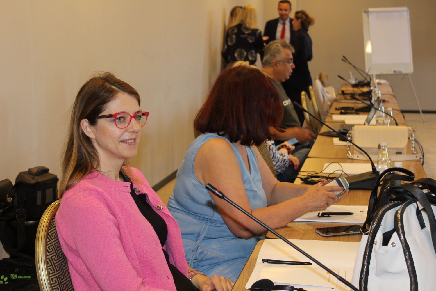 Iskustva iz Nizozemske koja su doprinijela boljem položaju braniteljica ljudskih prava mogu biti pozitivan primjer i model koji može slijediti Bosna i Hercegovina.