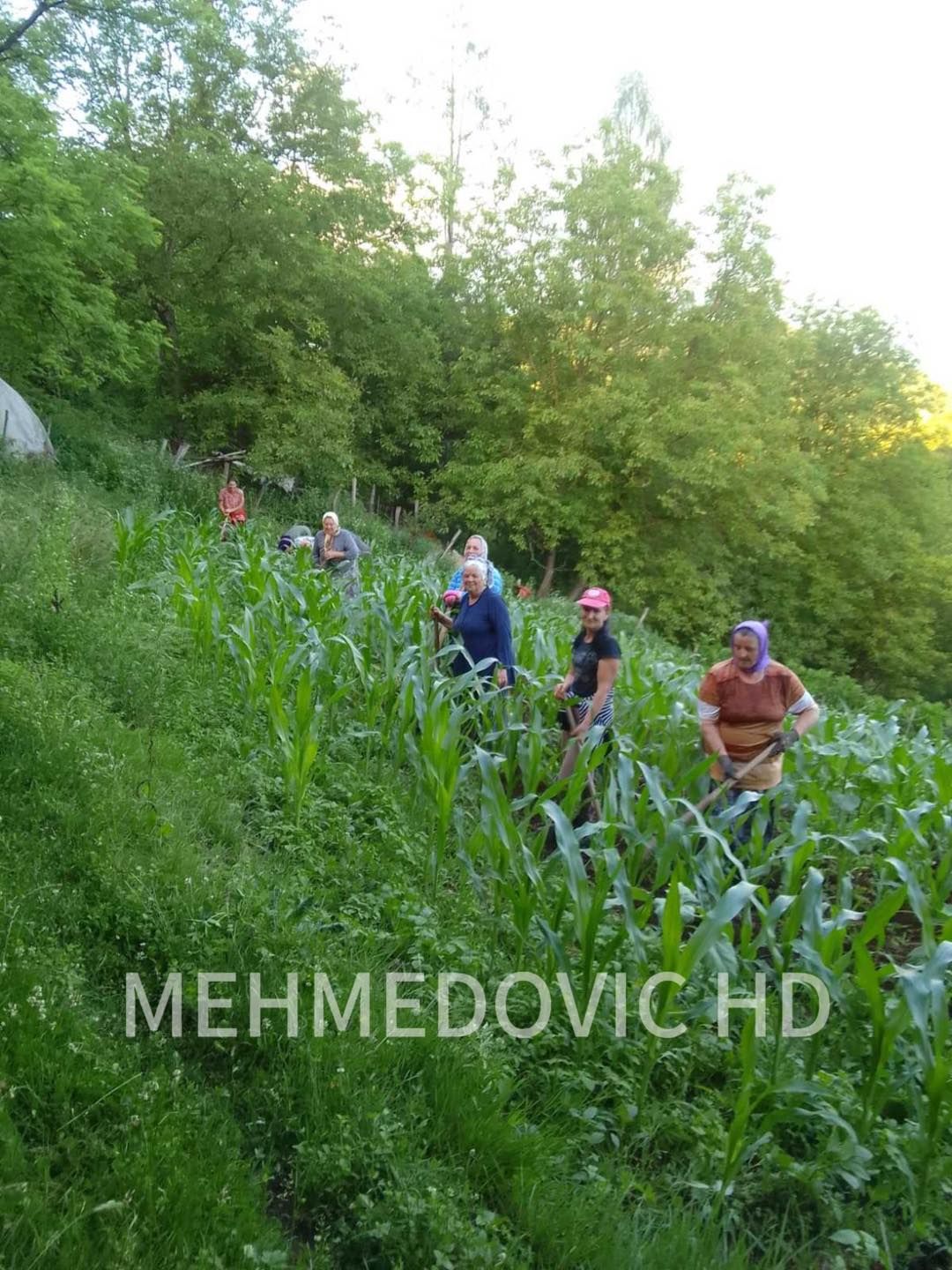 Još jednom se izreka "Da je komšija komšiji najpreči" pokazala istinitom i to u Liplju, općina Zvornik.