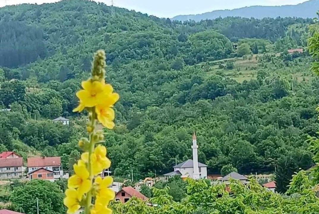 Sud je u presudi naložio Trlinu da Medžlisu Konjic na ime štete, zbog klevete učinjene u navedenim člancima, isplati iznos od 2.000,00 KM