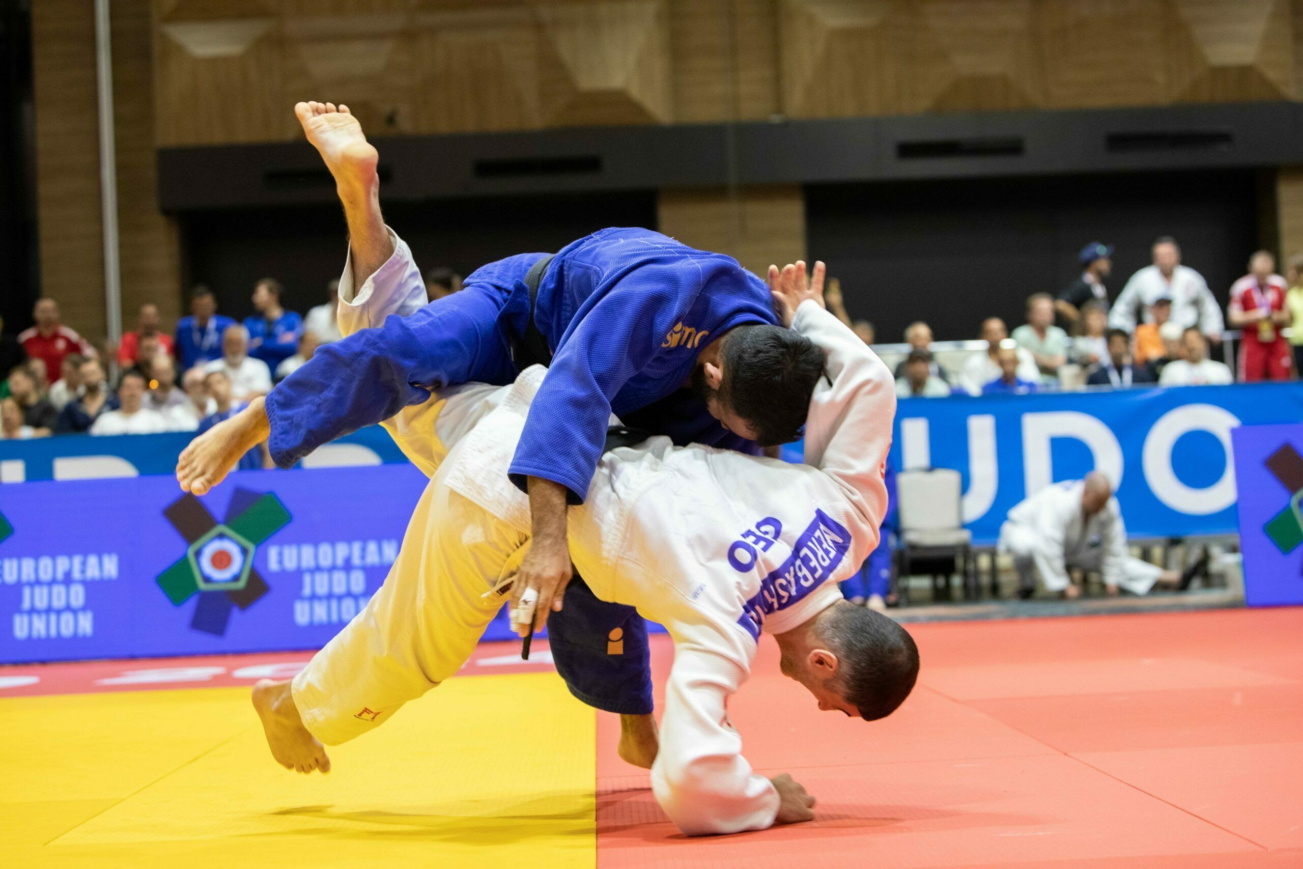 Ukupni pobjednik Evropskog prvenstva u džudu za veterane je Francuska s 18 zlatnih, 23 srebrene i 24 bronzane medalje