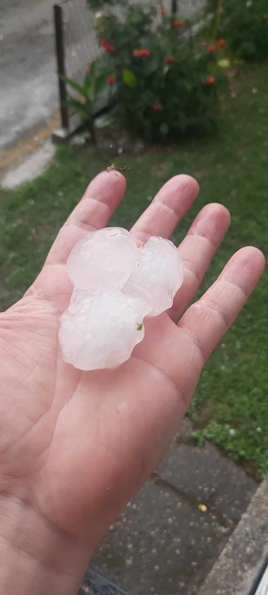 Stanovnici objavili snimak                                                                       