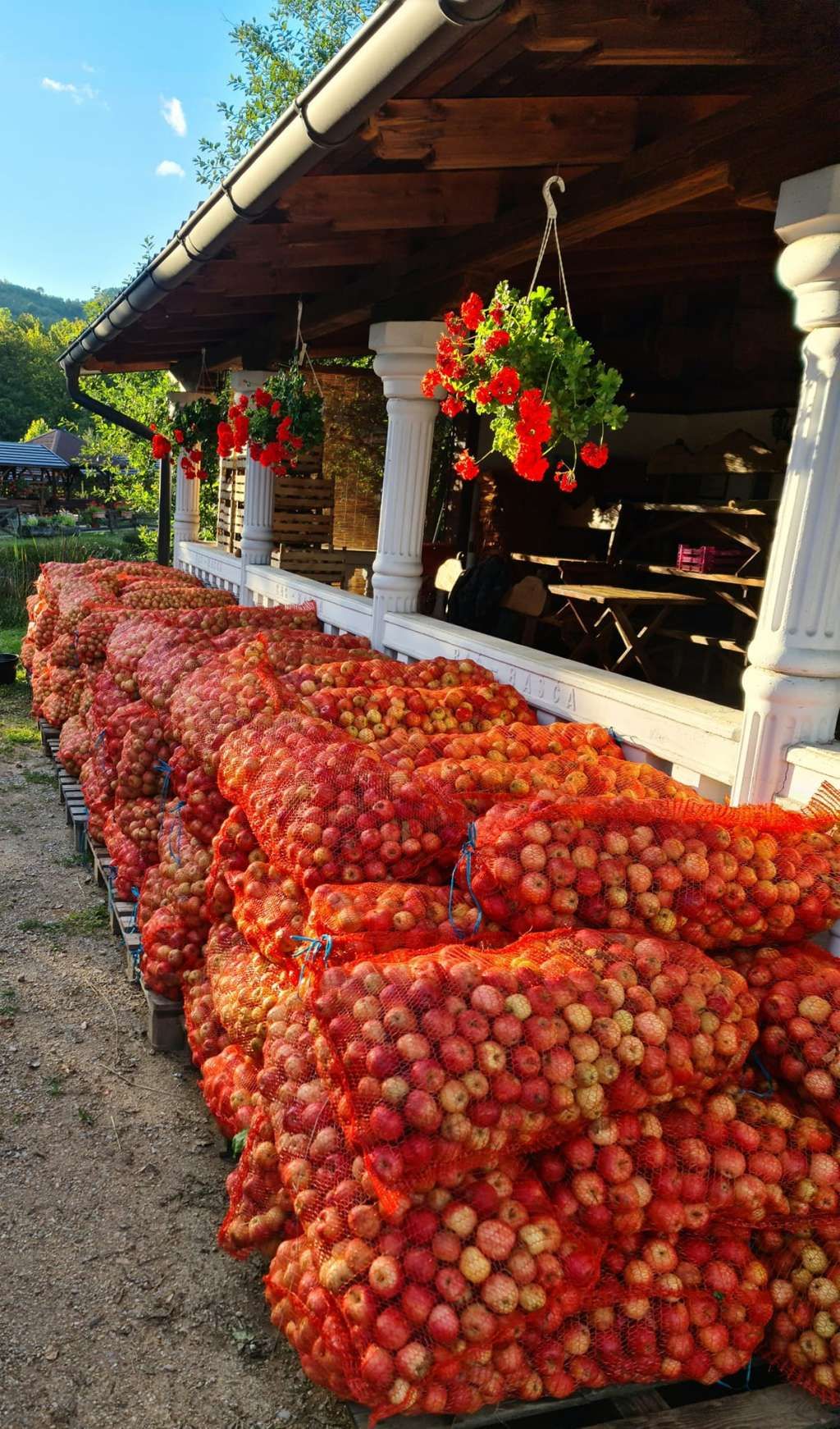 Porodica Hrustanović iz Breze je za 15 godina napornog rada uspjela stvoriti malu oazu mira i zdrave hrane.