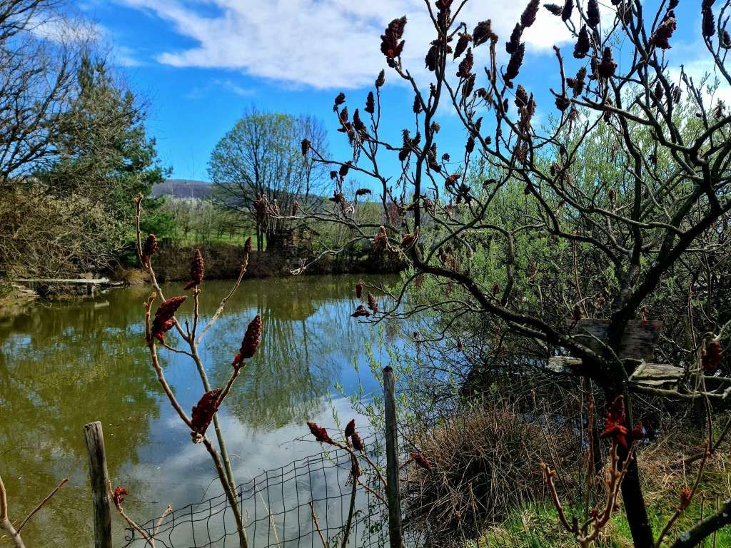 Porodica Hrustanović iz Breze je za 15 godina napornog rada uspjela stvoriti malu oazu mira i zdrave hrane.
