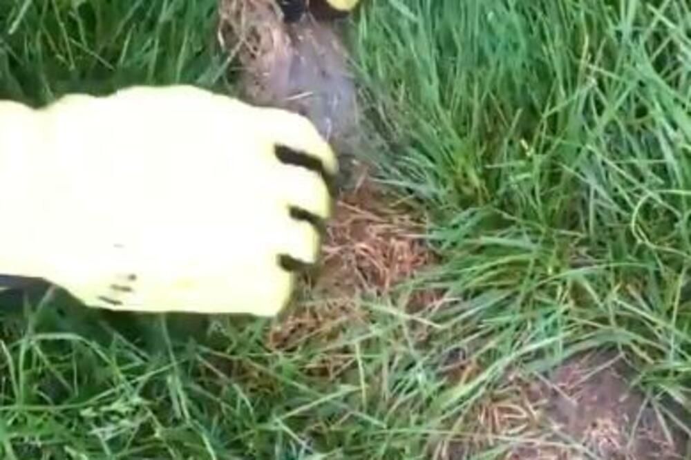 Čovjek je kosio livadu na mjestu zvanom Humska Čuka, kada je u travi ugledao bombu, kaže izvor