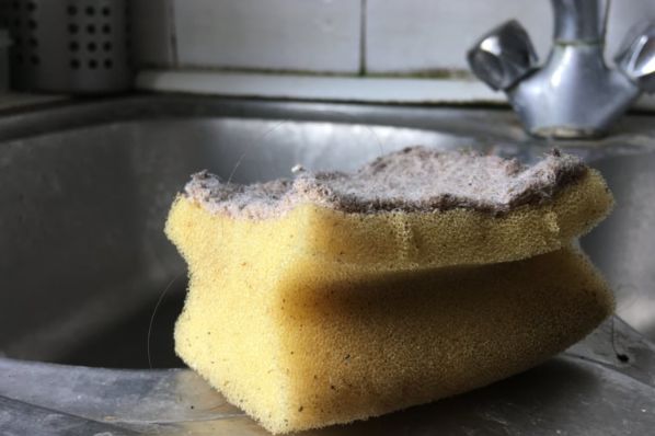 Većina ljudi smatra kako je spužvica, isprana običnom vodom nakon korištenja u kombinaciji s deterdžentom za posuđe, čista i spremna za sljedeću upotrebu.