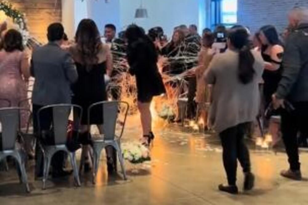 Tiktokerka Šona Bejli, specijalizovana za slikanje vjenčanja, pozvana je da ovjekoveči mladence na platnu, a istovremeno je zabilježila pravu dramu