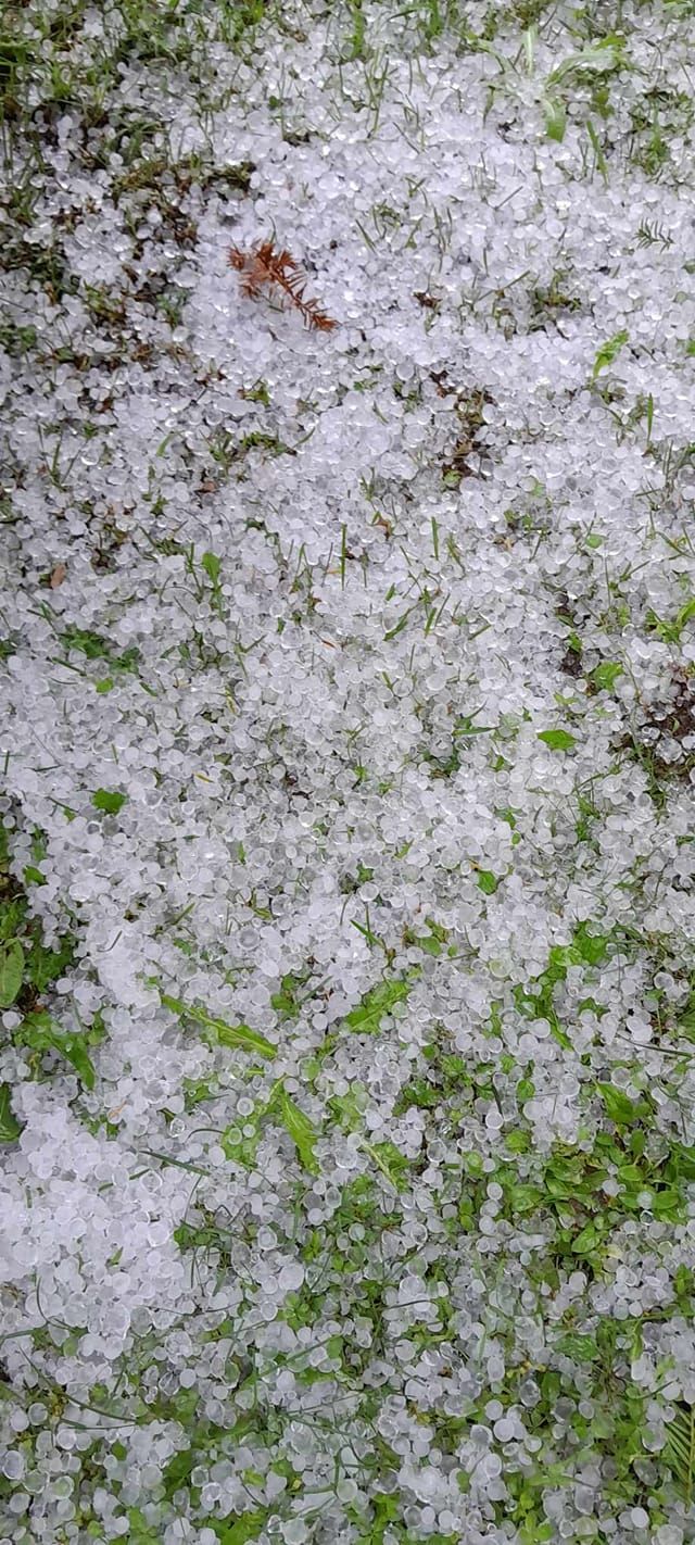 Vozače se apelira da budu posebno pažljivi na cestama                      