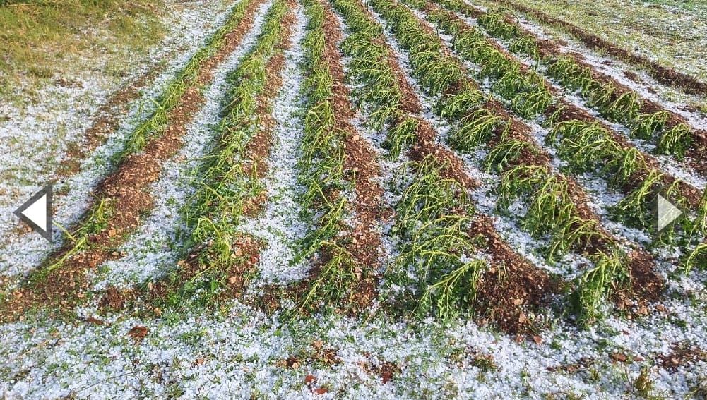 Nevrijeme praćeno gradom i olujnim vjetrom