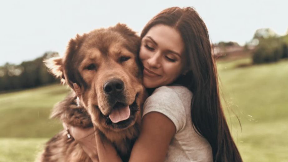 Postoje određeni znaci koji pokazuju da pas stari