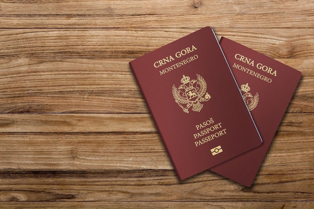 Crna Gora mora zaštititi svoj interes kao populaciono mala država