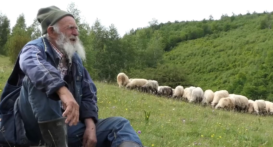 Ne planira odustati od ovaca