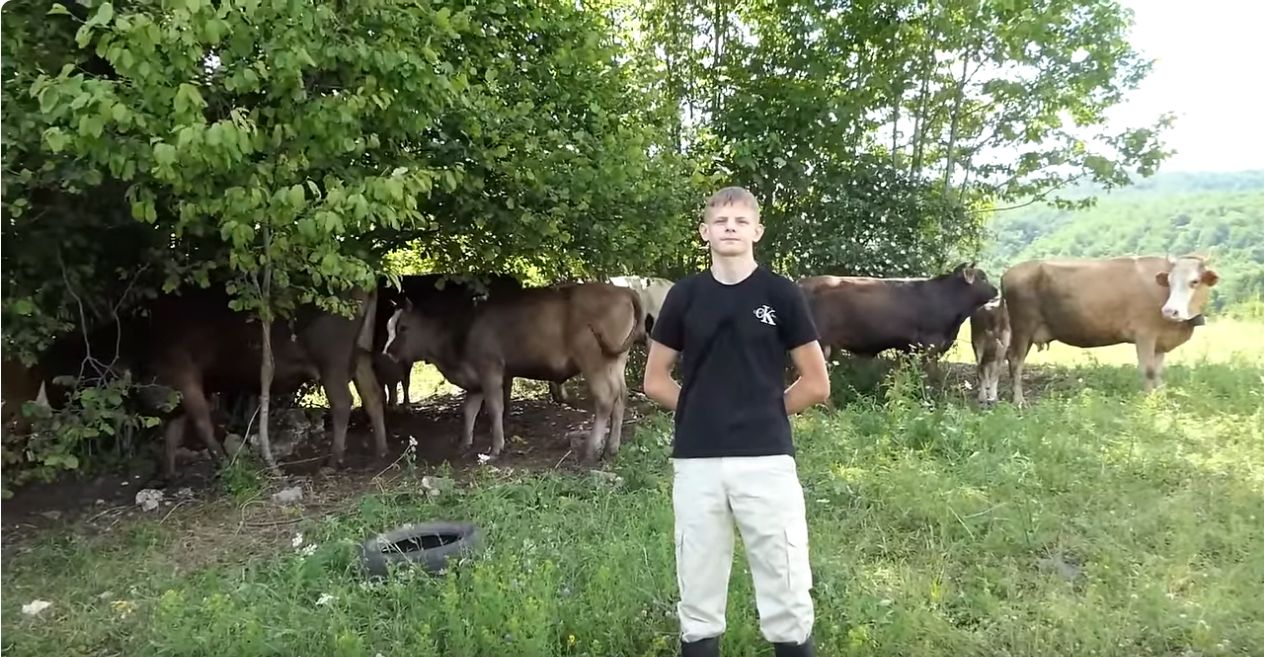 Ja sam htio još ovaca ali sam imao operaciju nakon koje sam jedva ostao živ