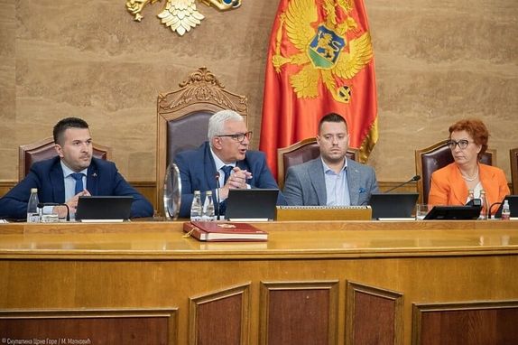 Glasala su 42 zastupnika, 41 ih je bilo "za", jedan protiv                                                                      