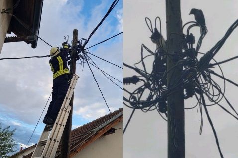 Vatrogasci su sarađivali sa radnicima iz Elektrodistribucije tako što su ih zamolili da isključe napon