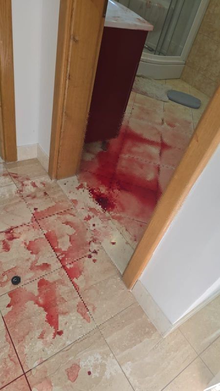 Objavljene jezive fotografije vile prekrivene krvlju: Turisti iz pakla napravili mu haos