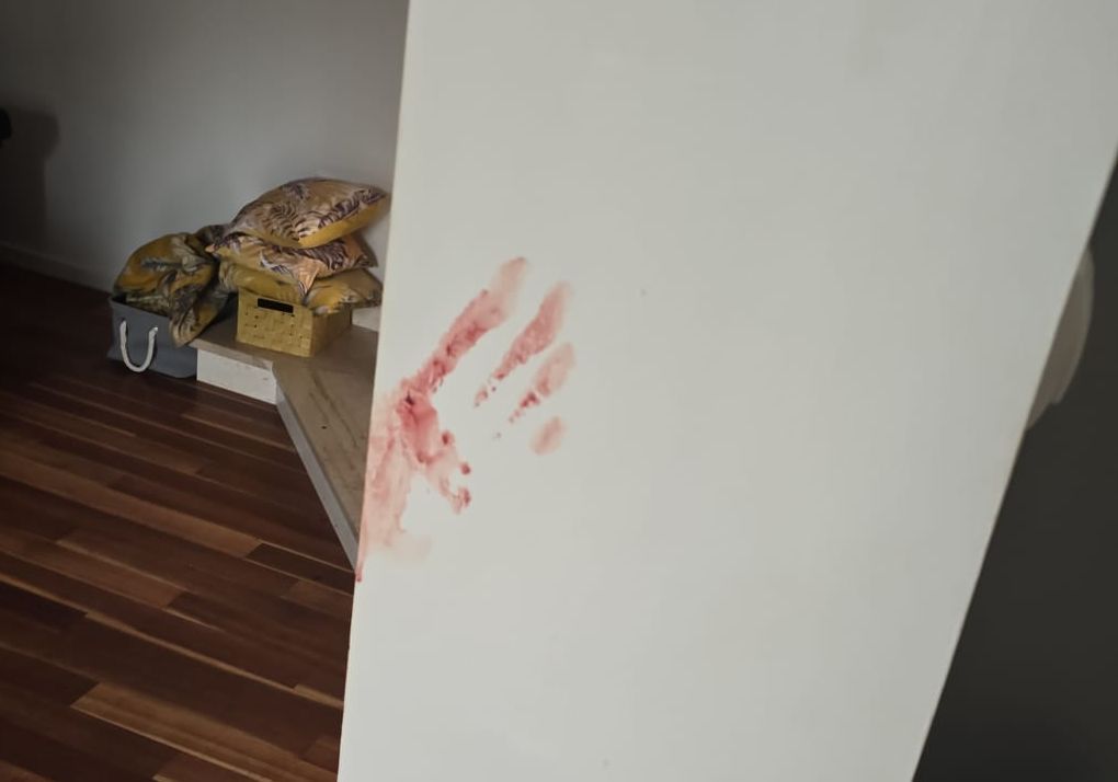 Objavljene jezive fotografije vile prekrivene krvlju: Turisti iz pakla napravili mu haos